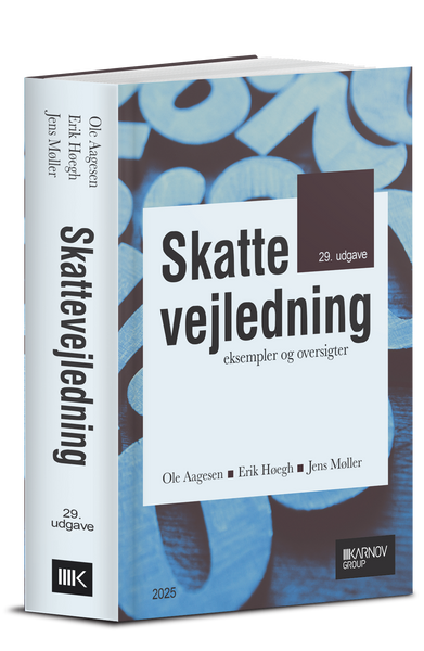 Skattevejledning 2025 - Eksempler og oversigter